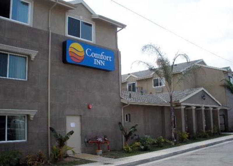 Comfort Inn Cockatoo Near Lax Хоуторн Экстерьер фото